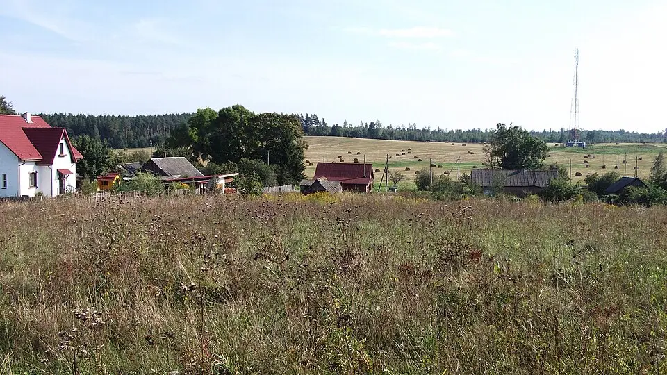 Halica