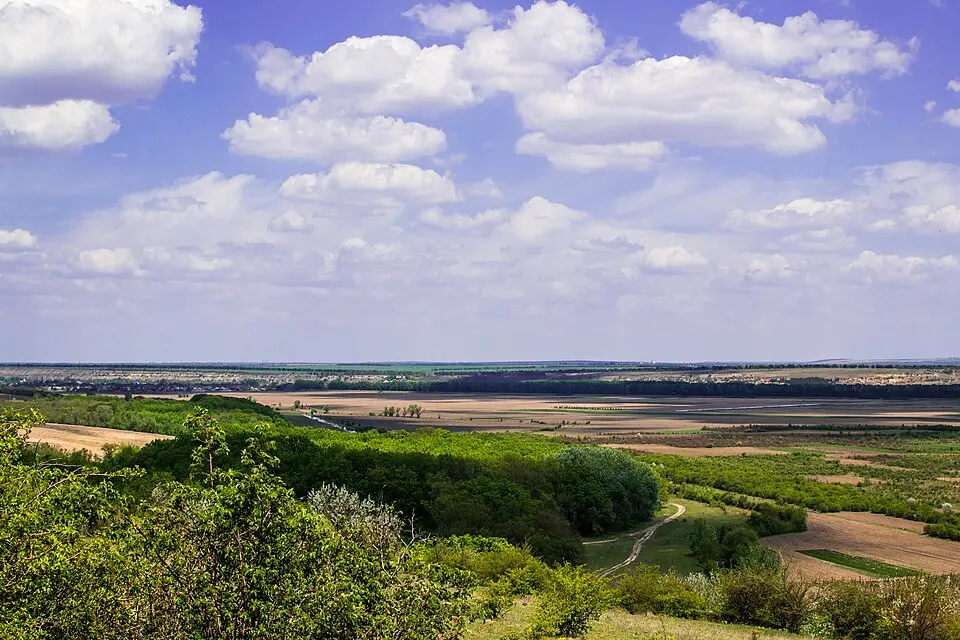 Voinova