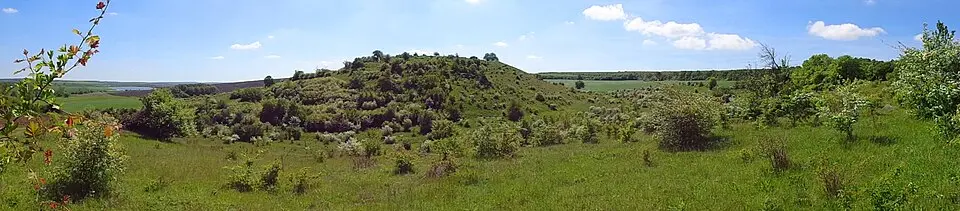 Тръница