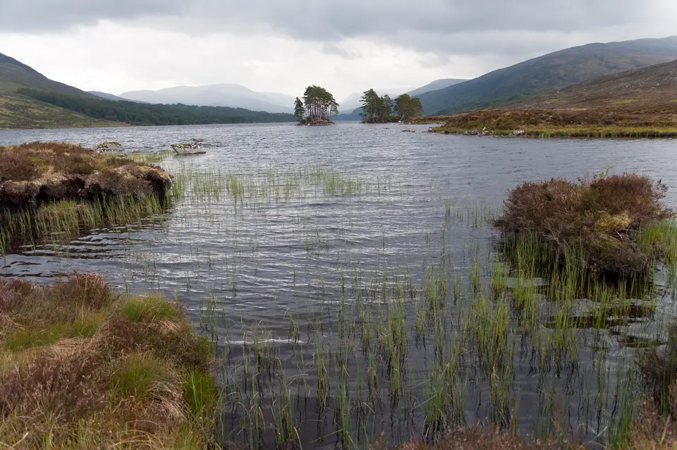 Loch Ossian