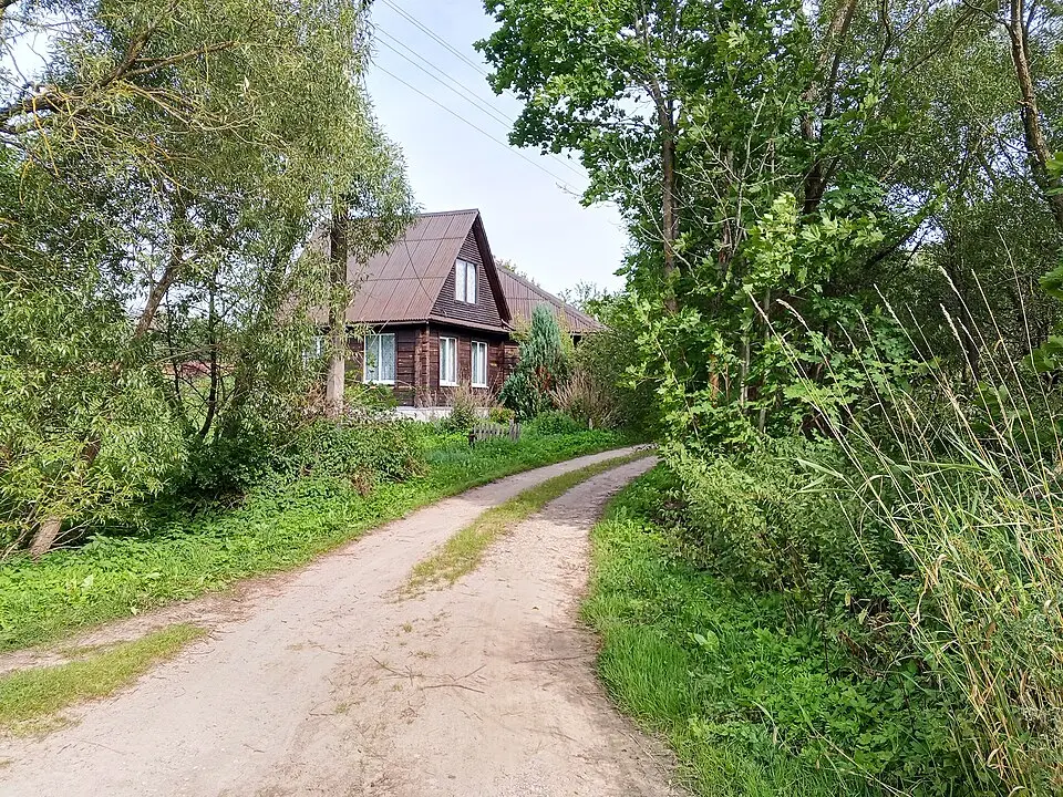Церлюкі