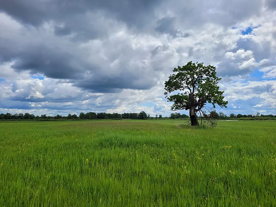 Nationalpark Prypjat