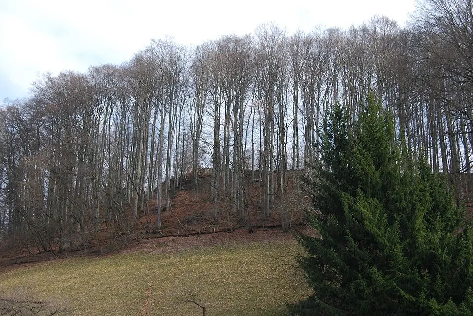 Burgruine Grünenberg