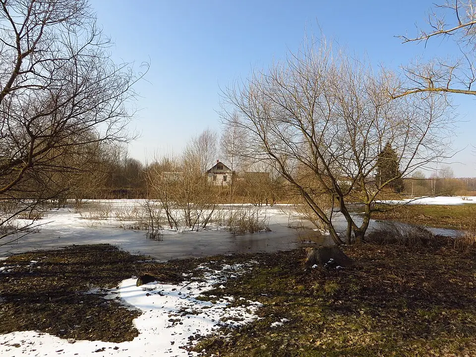 Dzierhai