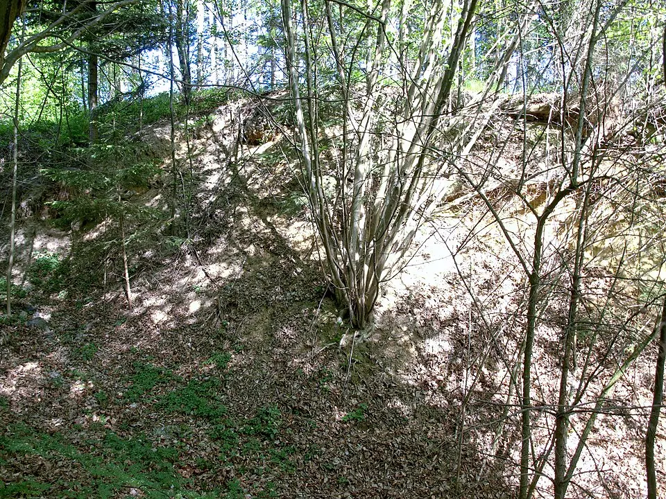 Bild: Grubernst (talk) · CC0 Hausberg Engelsburg