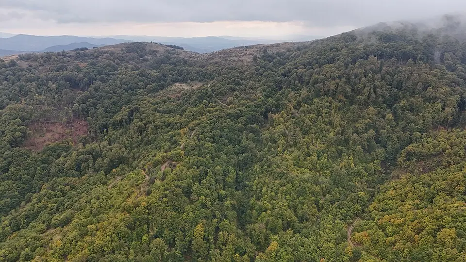 Kozjak