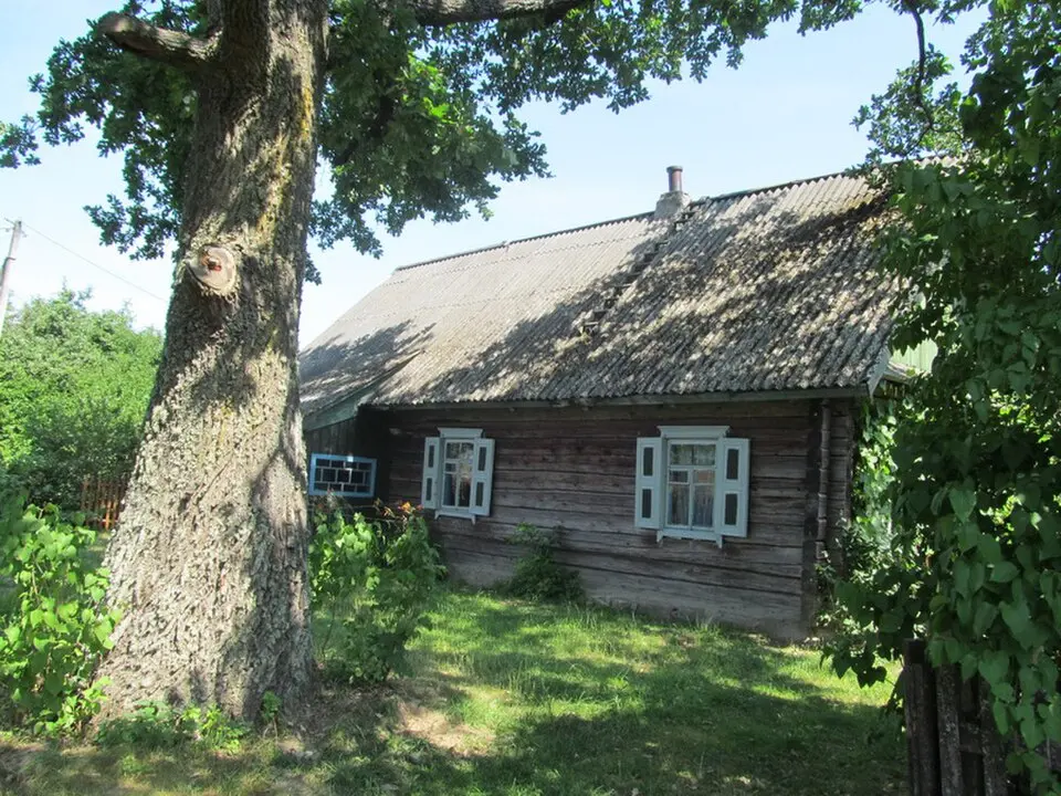 Pilkaŭščyna