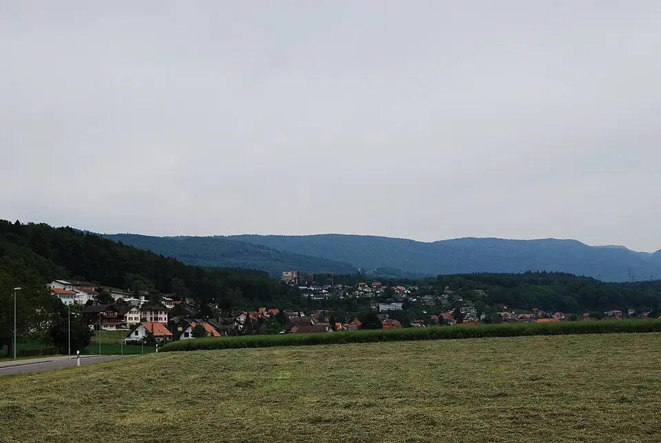 Bild: Dietrich Michael Weidmann · CC BY-SA 3.0 Safnern