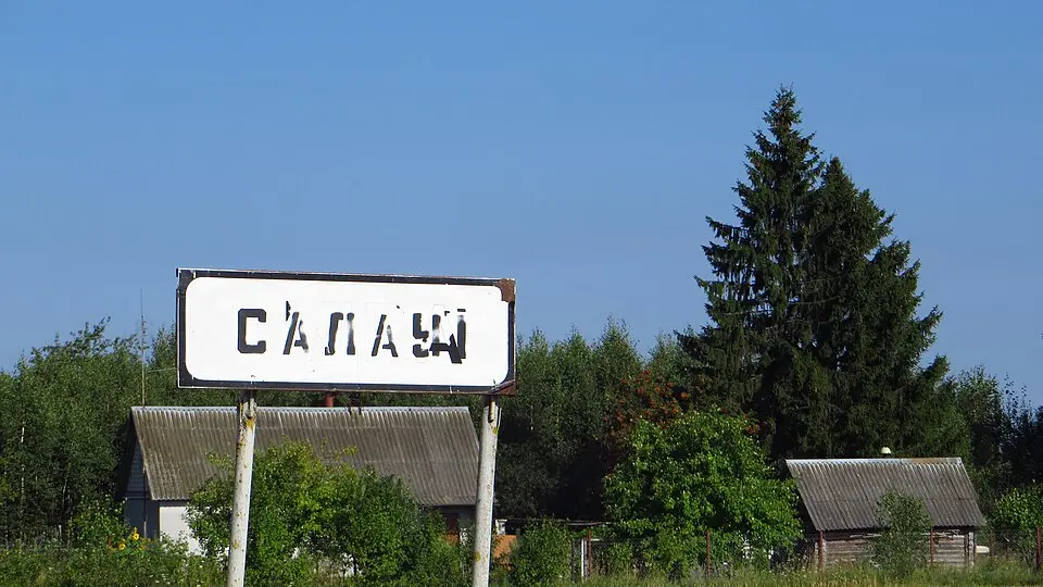 Salaŭi