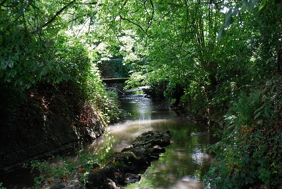 Néblon