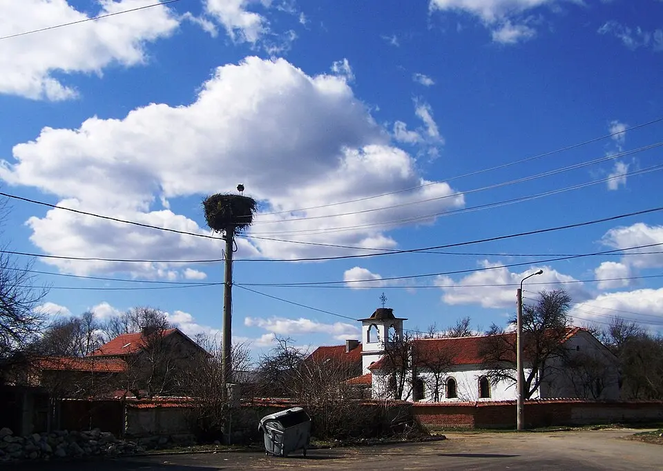 Драгушиново