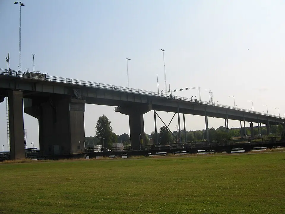 Dalbobron