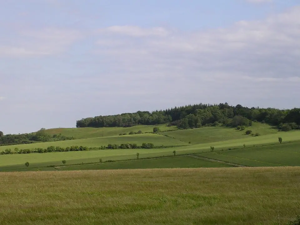 Knoll Camp