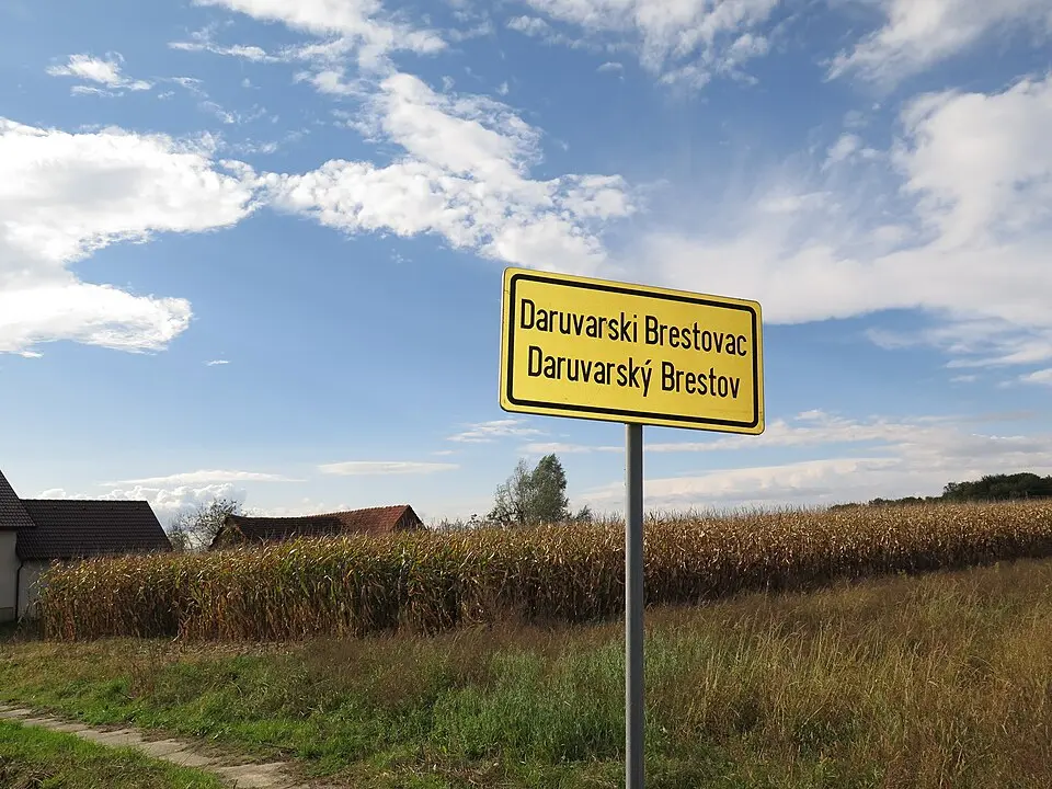 Brestovac Daruvarski