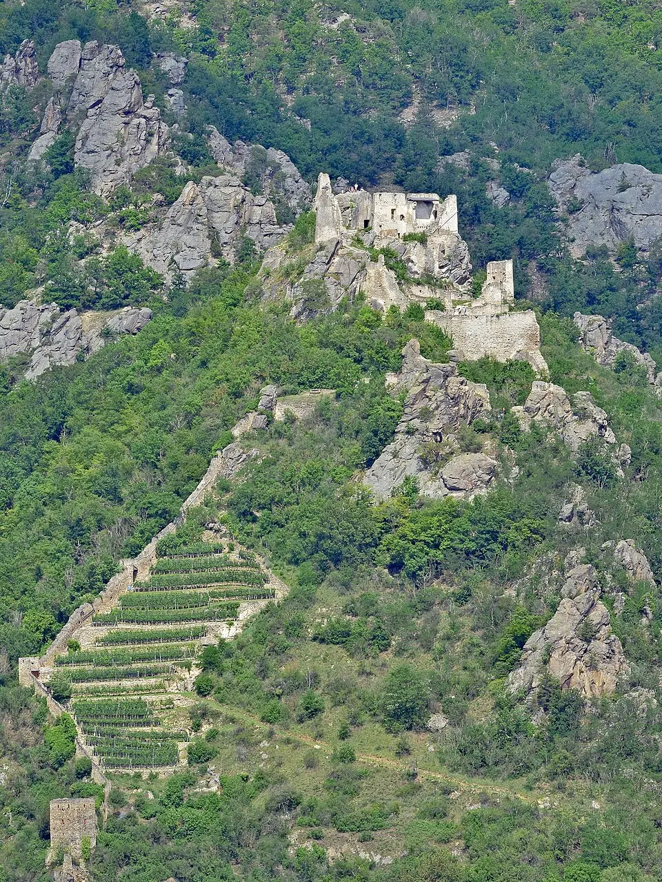 Wikimedia Commons