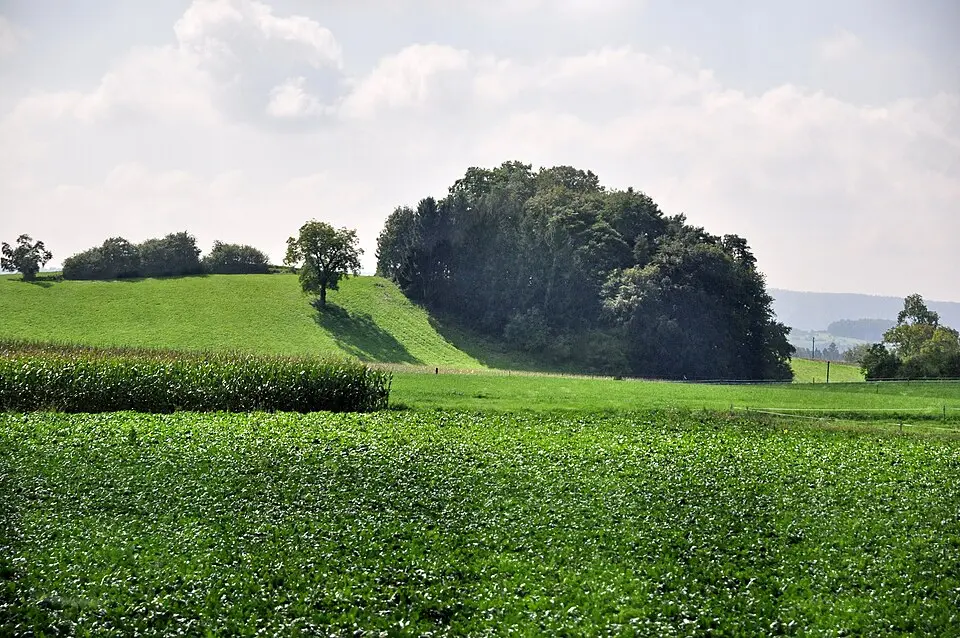 De Chreebuck, frühmittelalterliche Siedlung & Gräberfeld