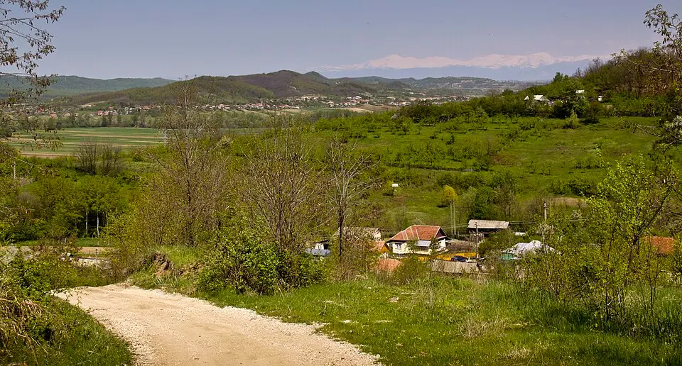 Sinești