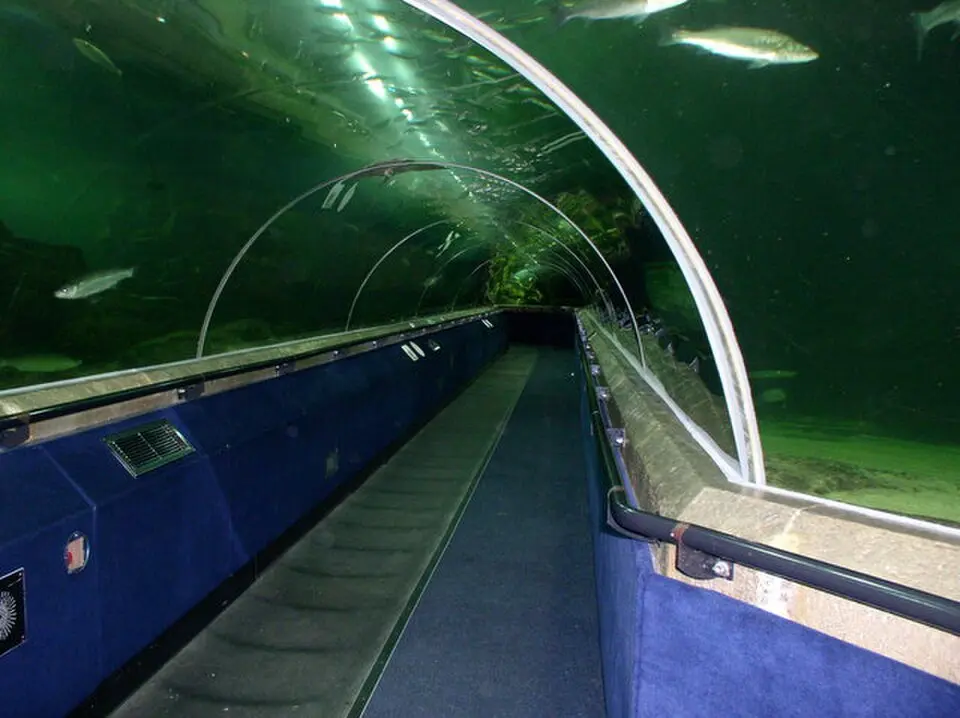 Bild: Billy McCrorie · CC BY-SA 2.0 Deep Sea World