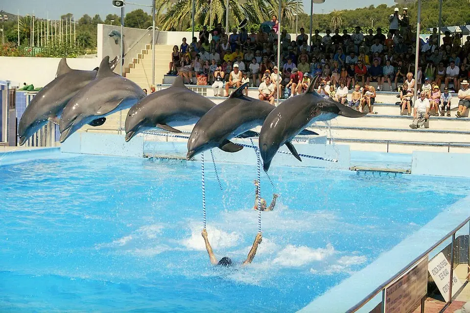 Marineland de Majorque