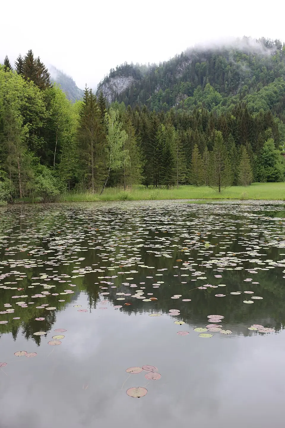 Glöcklteich