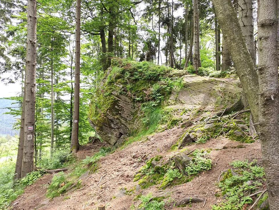 Szarcula (szczyt)