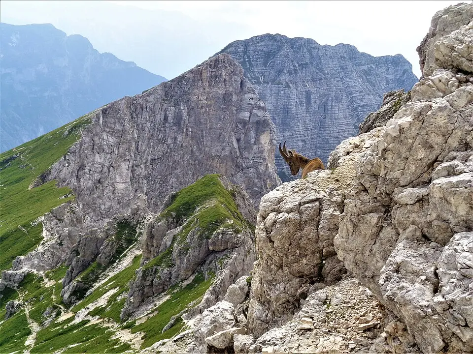 parco naturale delle Prealpi Giulie