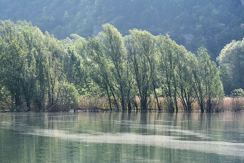 Biotopo Lago d'Idro