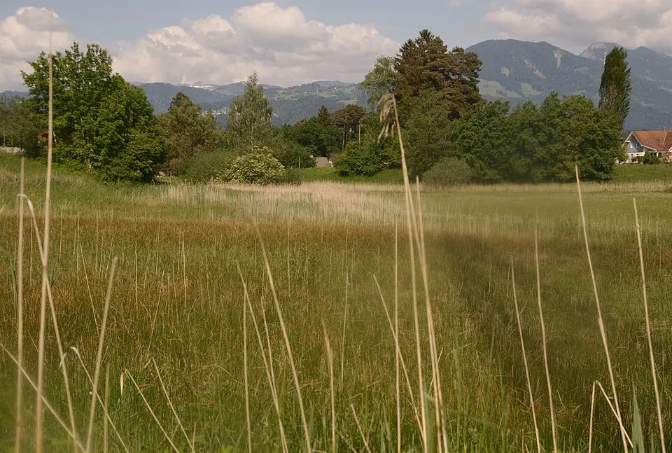 Bild: Wiesinger Franz · CC BY-SA 3.0 AT Maria–Grüner Ried