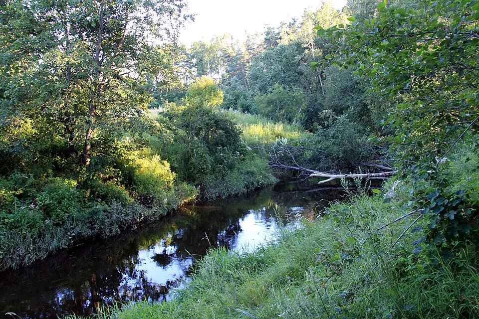 Bild: Sirujs Enobs · CC BY-SA 3.0 Durbe