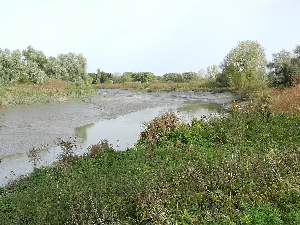 Gemene schoren van Hamme