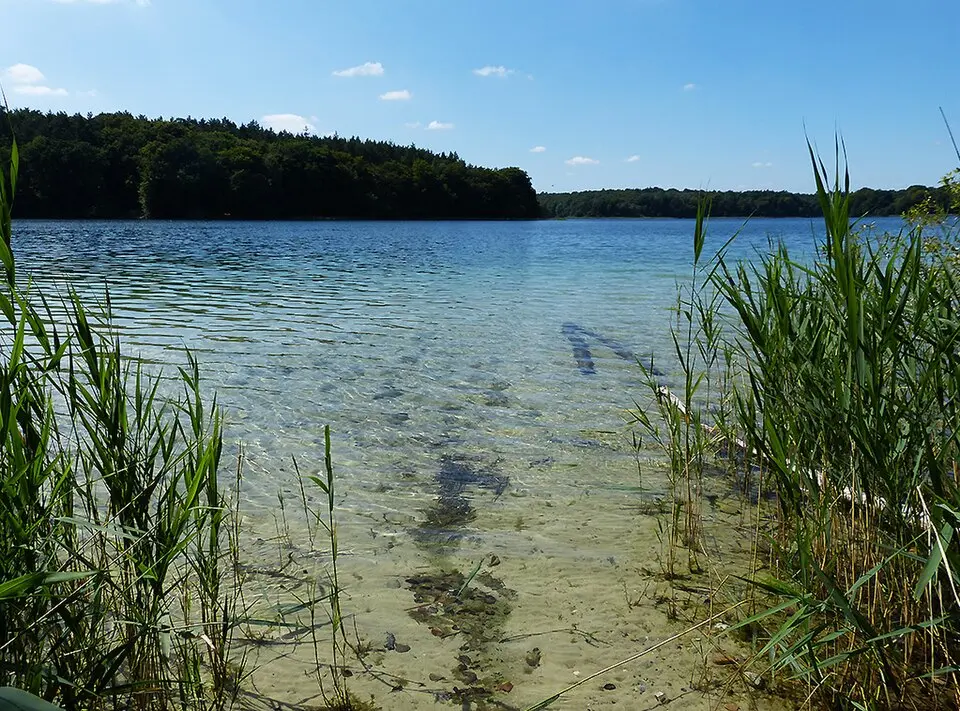 Immagine: Brunhilde Schaefer · CC BY-SA 3.0 Großer Wummsee