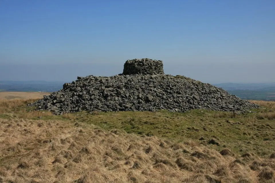 Eastern White Barrow