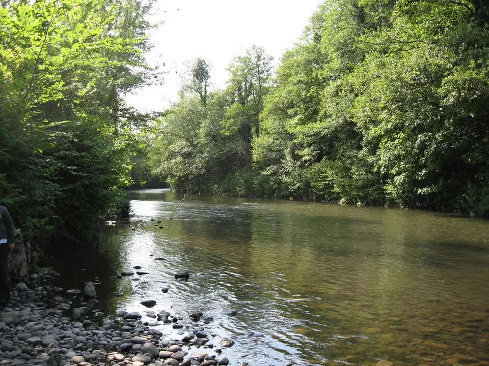 Ebbw