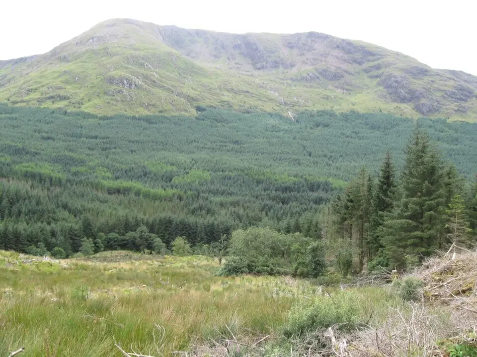 Fraochaidh
