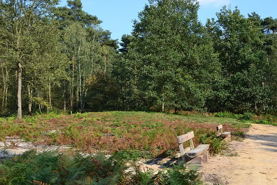 terrein waarin vier grafheuvels en een urnenveld Aan de Watermolen