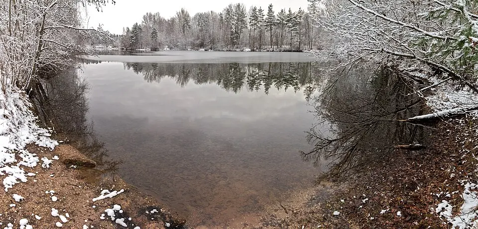 Forst Kleinschwarzenlohe