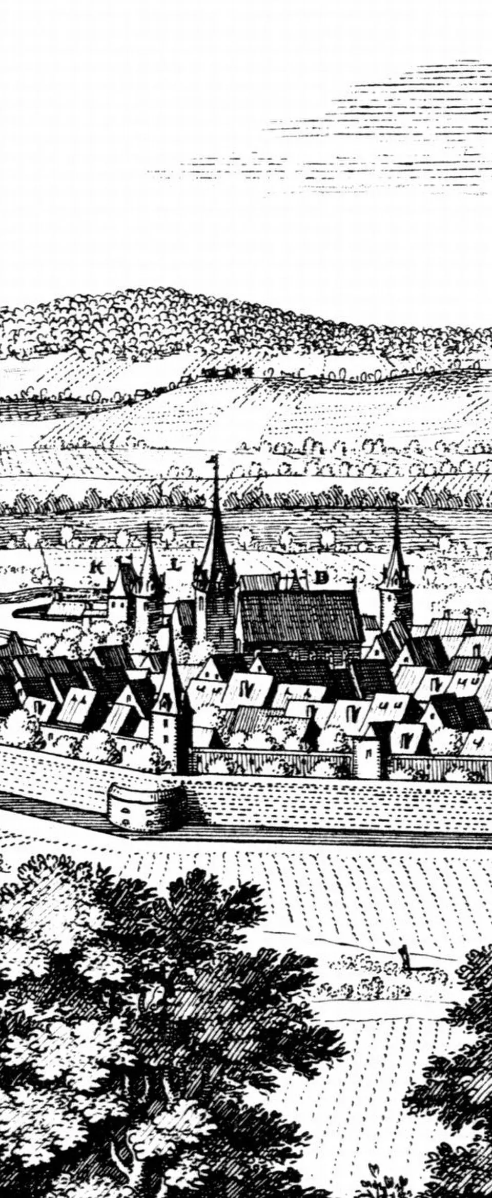 Augustinereremitenkloster Einbeck