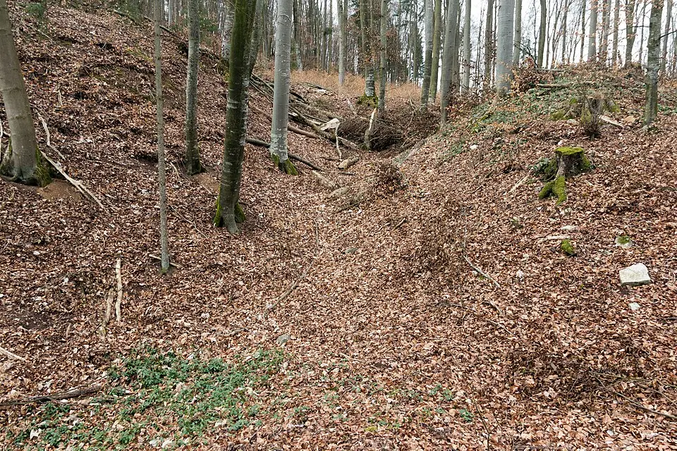 Burg Liebeneck