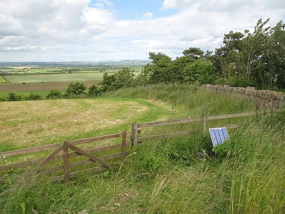 Shoreswood