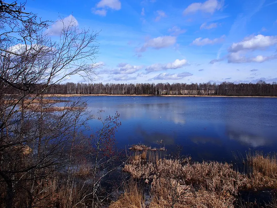 Elistvere järv