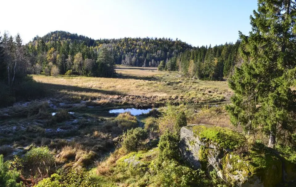 Elva naturreservat