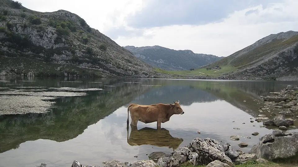 Image: Rodelar · CC BY-SA 3.0 Lake Enol