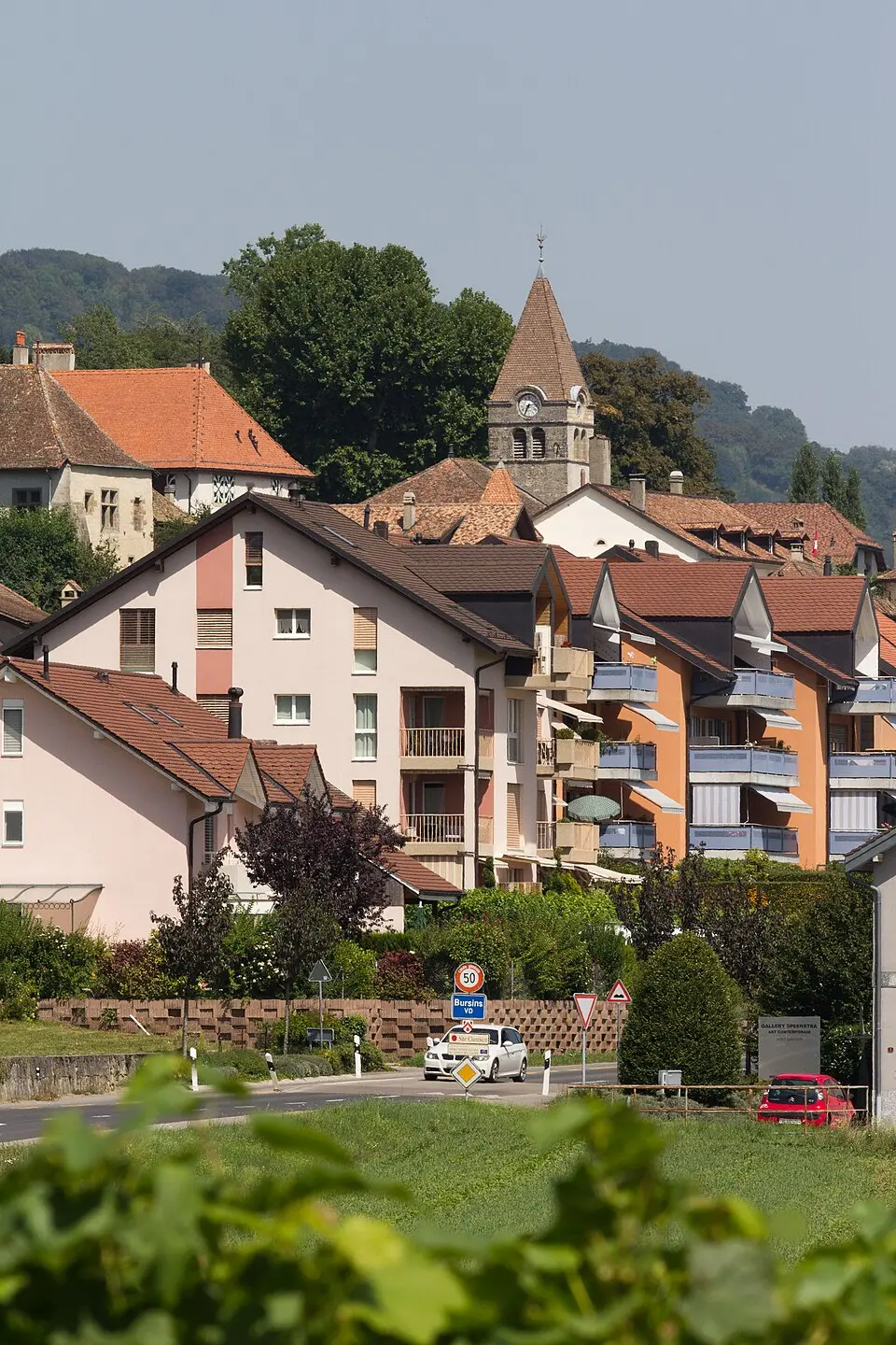 Bild: EdouardHue · CC BY-SA 3.0 Bursins