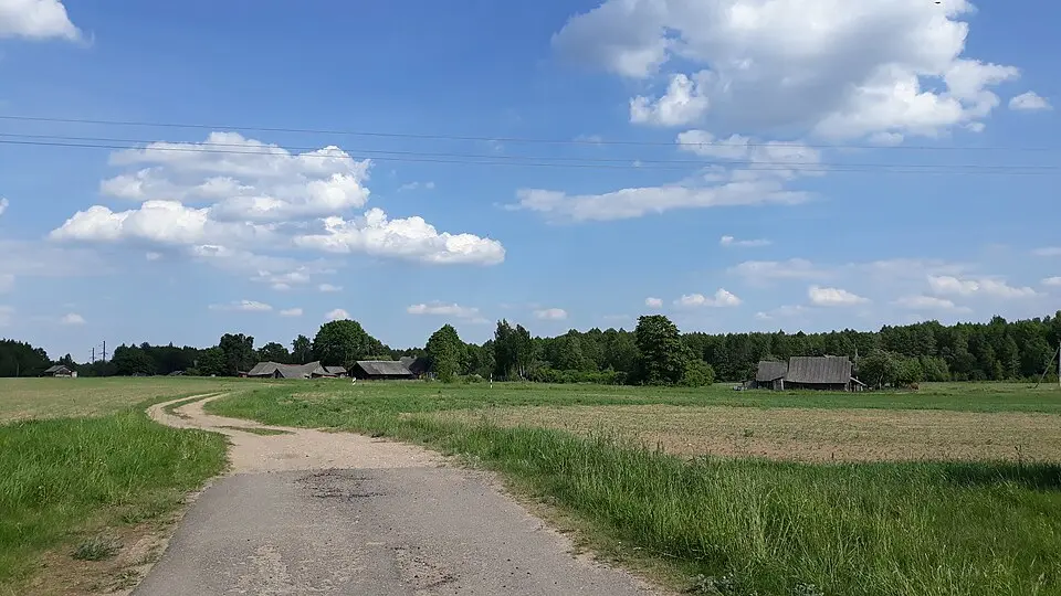 Федзевічы