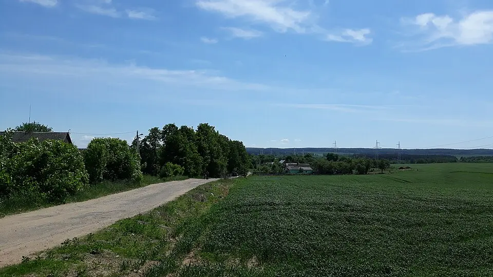 Падбалотцы