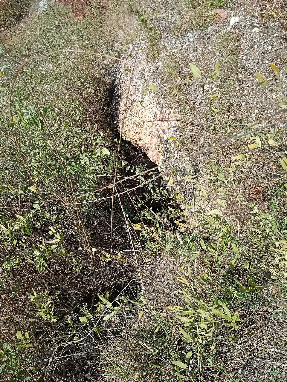 Esztergomi Vár-hegy 3. sz. barlangja