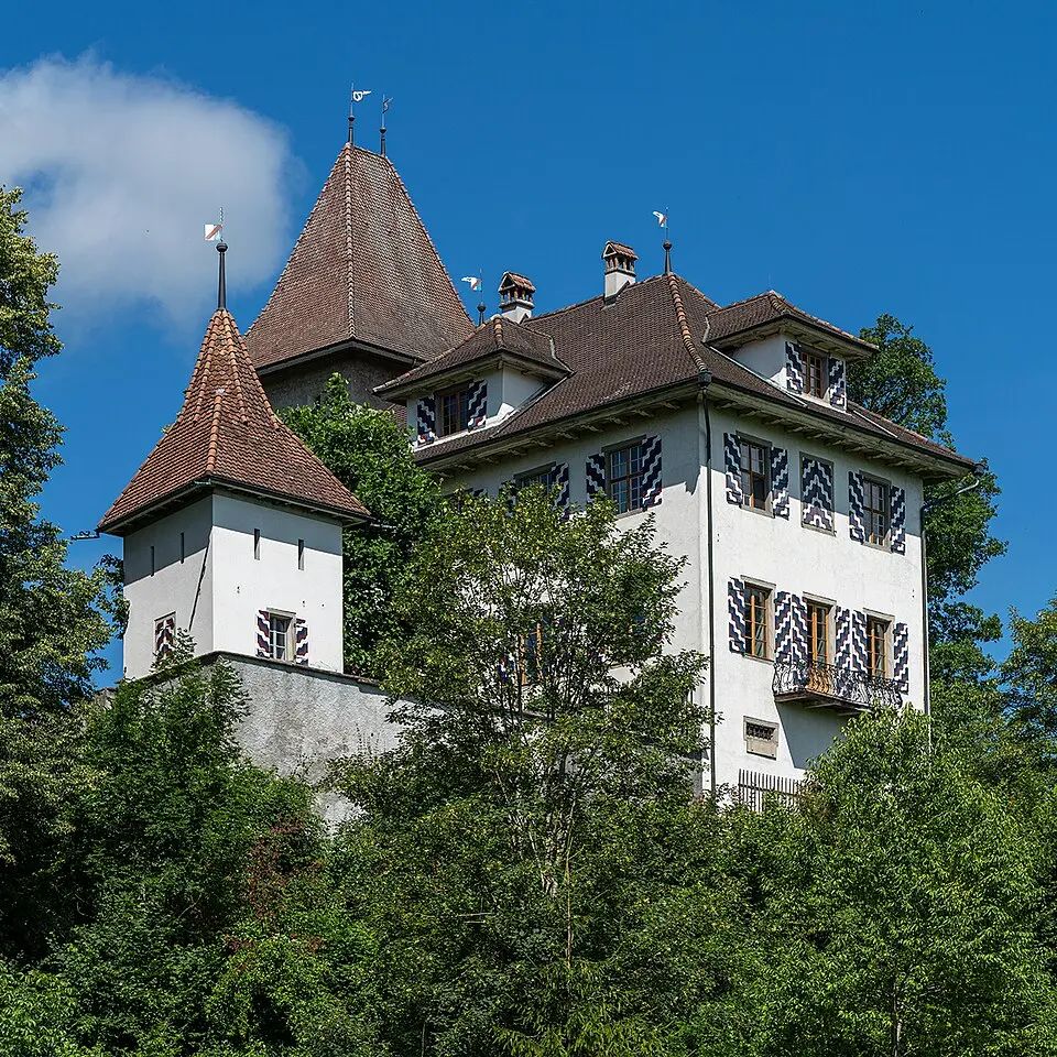 Bild: Roland Zumbuehl · CC BY-SA 4.0 Schloss Tannenfels
