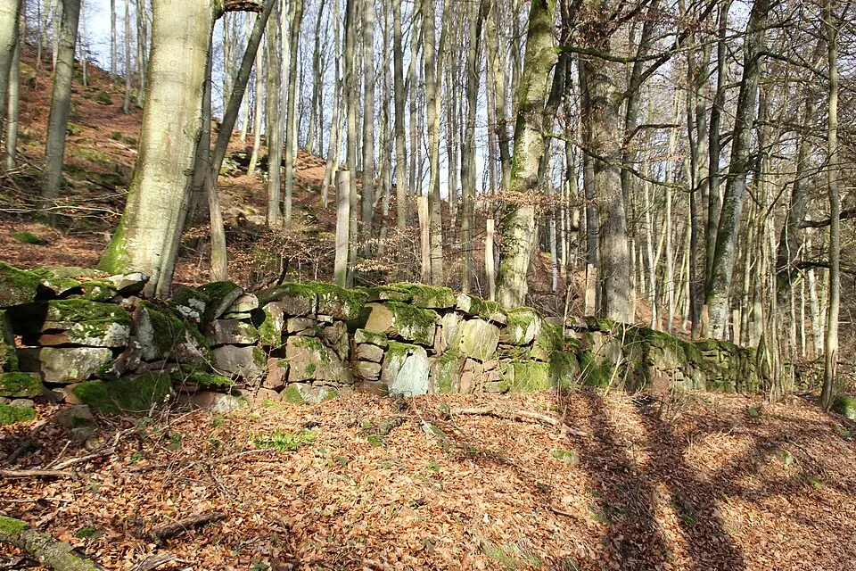 Bild: Freak-Line-Community · CC BY-SA 3.0 Fürstlich Löwensteinscher Park