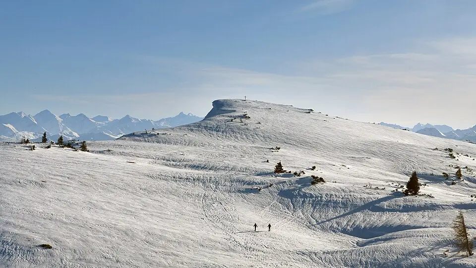 Fellhorn