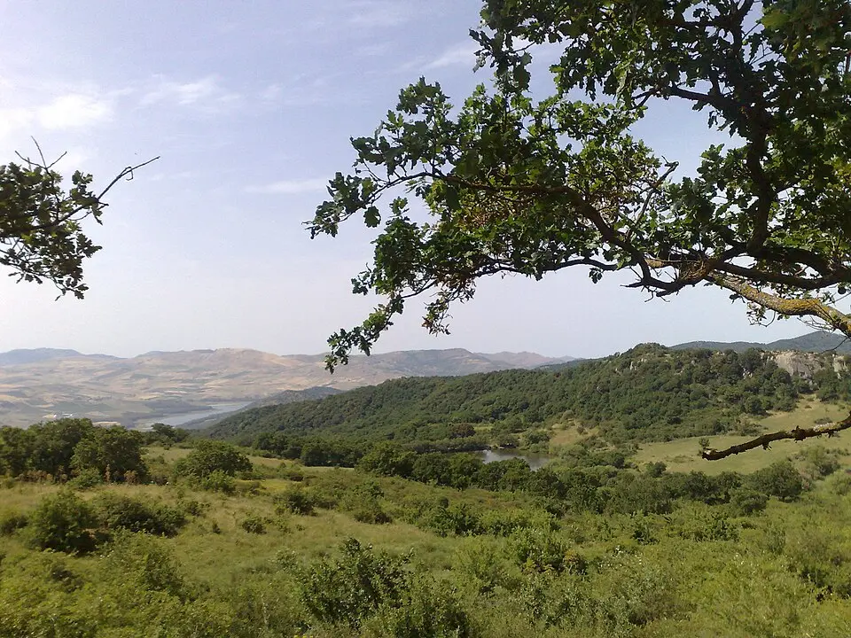 Bild: Dedda71 · CC BY-SA 3.0 Riserva naturale orientata Bosco della Ficuzza, Rocca Busambra, Bosco del Cappelliere e Gorgo del Drago